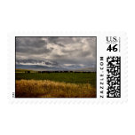 The Herd Postage Stamp