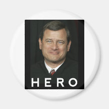 The Hero Refrigerator Magnet