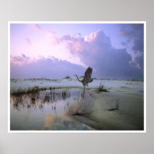 The Heron Takes Flight, Santa Rosa Island Print