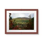 The Hills print