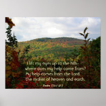 The Hills Poster