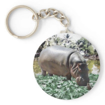 The Hippo And The Bird Key Chains