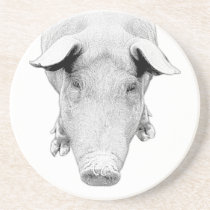 The Hog in Black and White Coasters