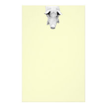 The Hog in Black and White Customized Stationery