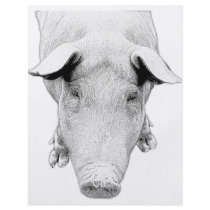 The Hog in Black and White Flyer Design