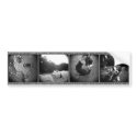 The Holga Project Sticker bumper stickers by ErikaSidor The Holga Project Sticker bumper stickers