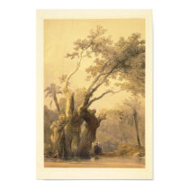 The holy tree, Metereah posters by ZephyrusBooks The holy tree, Metereah posters
