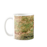 The Hoopoe, national bird of Israel, coffee mug