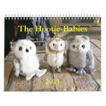 The Hootie-Babies '11 Wall Calendars