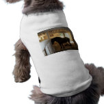 The Horse Barn Pet Clothes