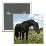The Horse Buttons