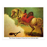 The Horse Mustapha Pasha By Gros Antoine-Jean Postcards