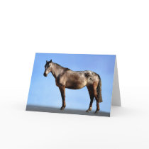 The Horse Pose Cards
