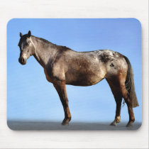 The Horse Pose Mouse Pads