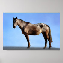The Horse Pose Posters