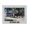 THE HORSE RIDE postcards by KABSANNIE THE HORSE RIDE postcards