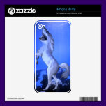 The Horse Shark skins