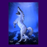 The Horse Shark Poster posters