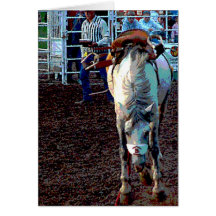 The Horse Won This Round Card