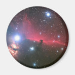 The Horsehead Nebula Magnet