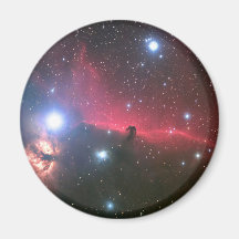 The Horsehead Nebula Magnet