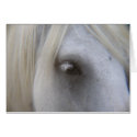 The Horses Eye cards