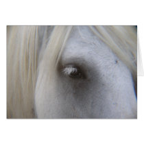 The Horses Eye cards by shannonalbert30 The Horses Eye cards