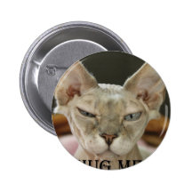 The Hug Me cat Pinback Button