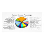 The Human Genome with Number and Percent of Each Custom Photo Card