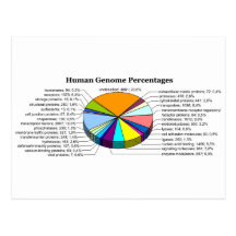 The Human Genome with Number and Percent of Each Post Cards