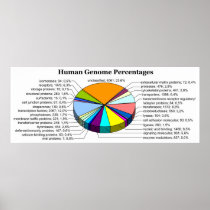 The Human Genome with Number and Percent of Each Posters