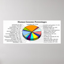 The Human Genome with Number and Percent of Each Posters