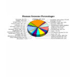 The Human Genome with Number and Percent of Each T-shirts