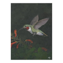 the humming bird large poster / by artist clay