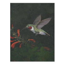 the humming bird post cards