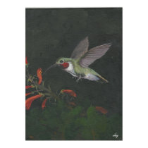 the humming bird poster