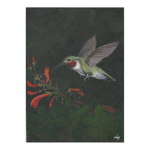 the humming bird poster