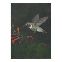 the humming bird print