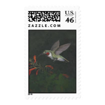 the humming bird stamp