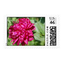 The Hungry Heart Stamp