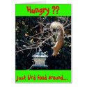 The hungry squirrel cards by Winter The hungry squirrel cards