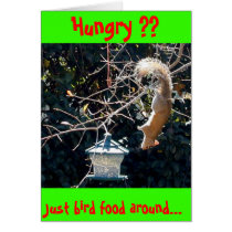The hungry squirrel card