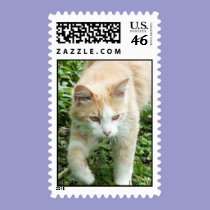 The Hunter Cat postage stamps