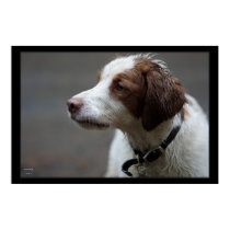The Hunting Dog posters