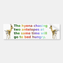 The hyena that chases 2 antelopes bumper sticker