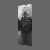 The Ibis Tree canvas prints