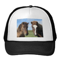 The Icelandic Horse - A Real Friend Hat
