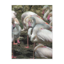 The In Crowd postcards by Renn_Fare The In Crowd postcards