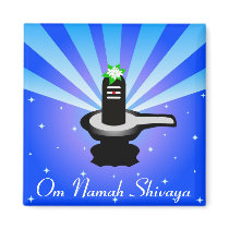 The Indian God - Shivalinga magnets