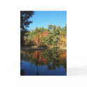 THE INLET 5 cards